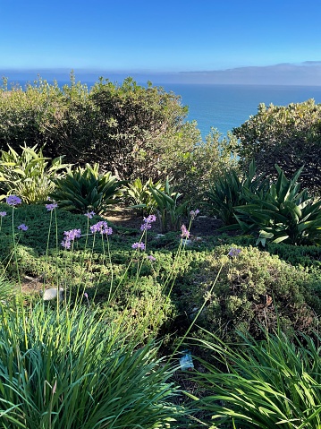 View of the Pacific Ocean from gardens of Wayfarers Chapel, Palos Verdes, California