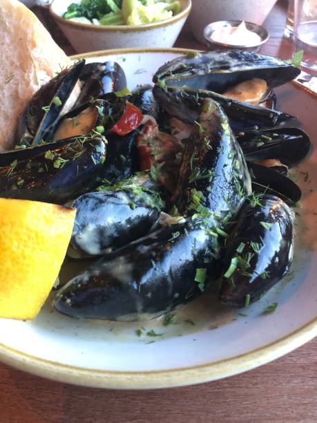 istock Restaurant main seafood, the fresh mussels, The Scallop Shell. 1496508623
