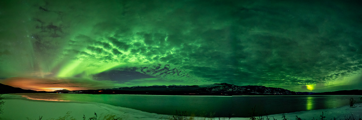 Incredible green aurora borealis seen along the Yukon River in northern Canada during winter time with northern lights in panorama, panoramic snow capped winter sky scenic view.