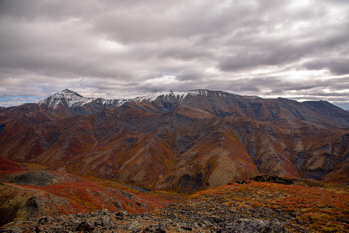Panoramic view of Tombstone Territorial Park in Yukon Territory, Canada. Fall autumn in Canada with snow capped mountains, red, orange, cloudy afternoon