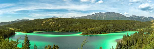 lago di smeraldo nel paesaggio del territorio dello yukon, canada - alaska landscape scenics wilderness area foto e immagini stock