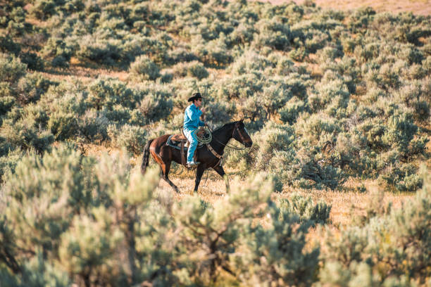 istock Cowboy Riding Horse in the Field 1496510080