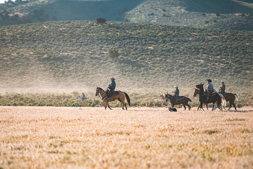 Outdoor shot of a landscape with cowboys and cowgirls riding horses during the afternoon. Wide shot of adults horseback riding.