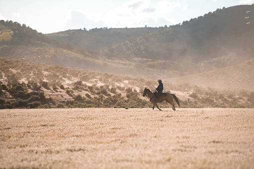 Wide shot of an athletic cowboy riding a horse. Athletic brown horse running forward while carrying a male rider that wears a cowboy hat.