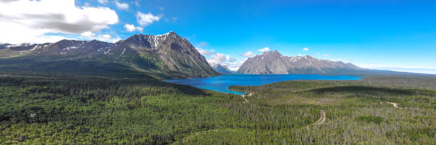 istock Panoramic, panorama view of Yukon Territory landscape, Canada 1496510745