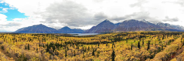 Panoramic, panorama view of Yukon Territory landscape, Canada