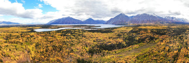 istock Panoramic, panorama view of Yukon Territory landscape, Canada 1496511705