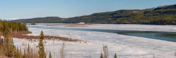 istock Panoramic, panorama view of Yukon Territory landscape, Canada 1496514402