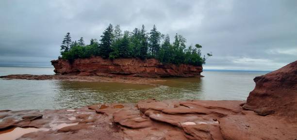 fundy bay, 캐나다의 나무가 있는 작은 섬 - bay of fundy 뉴스 사진 이미지