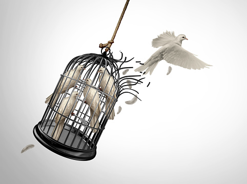 Breaking Boundaries and freedom concept as a bird escaping a cage with imprisoned birds as a symbol for individualism and power of purpose with confidence to succeed with 3D illustration elements.