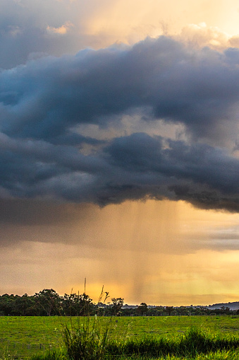 Rain cloud over meadow with golden light