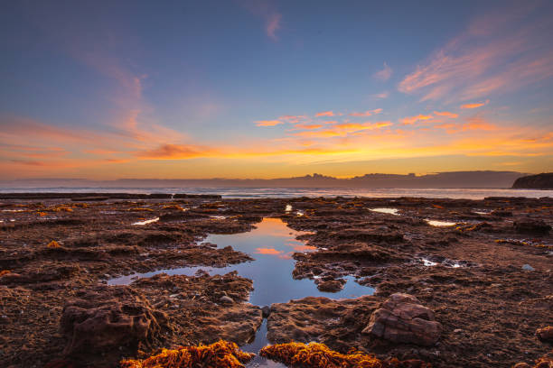 Tidal pools by the ocean reflecting a golden sunrise. Mollymook, South Coast, NSW, Australia