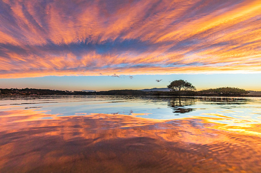 Bright dramatic golden sky at sunset with mangrove trees reflected on water surface.