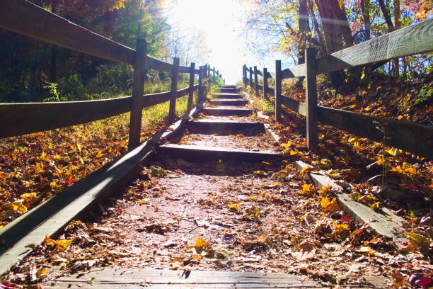 istock A Hiking Trail in the Forest 1496528235