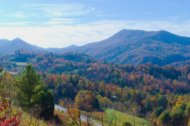 istock Colorful Autumn Foliage in the Mountains 1496528310