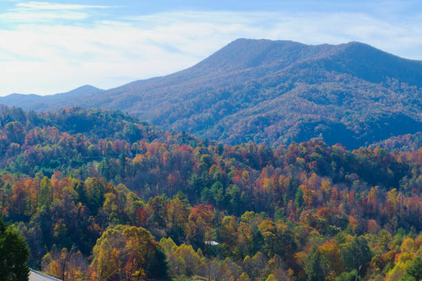 istock Colorful Autumn Foliage in the Mountains 1496528338