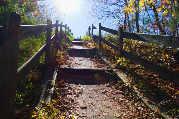 istock A Hiking Trail in the Forest 1496528351
