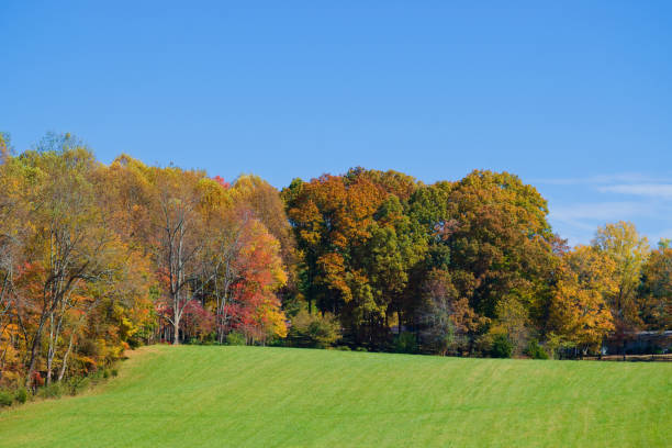 istock Beautiful Country View in Autumn 1496528409