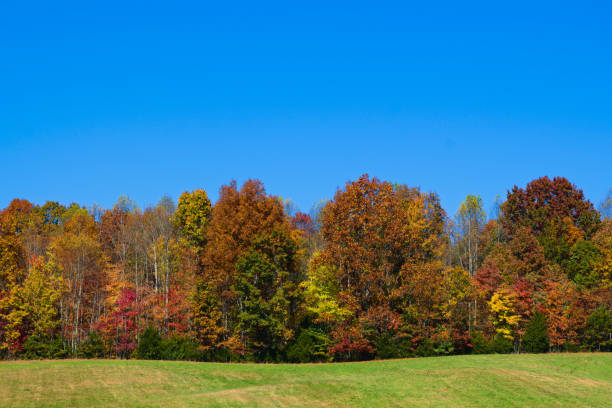 istock Beautiful Country View in Autumn 1496528432