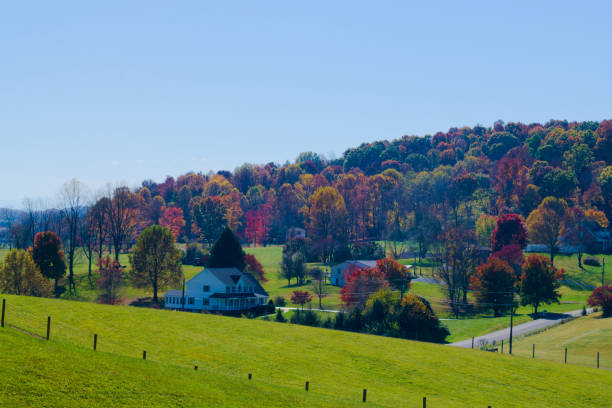 istock Beautiful Country View in Autumn 1496528715