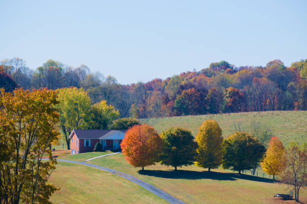 Beautiful Country View in Autumn
