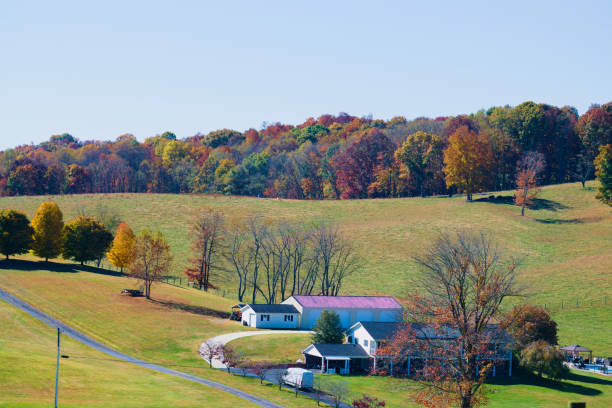 istock Beautiful Country View in Autumn 1496528737