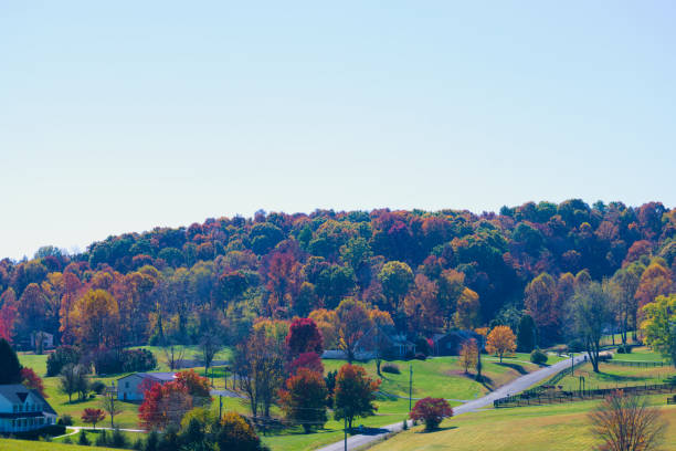 istock Beautiful Country View in Autumn 1496528746