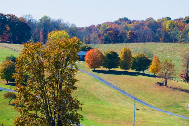 istock Beautiful Country View in Autumn 1496528763