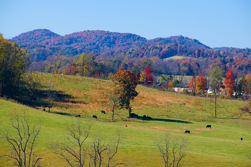 Bristol, TN, USA, Oct 23, 2022: Beautiful autumn view in the countryside.