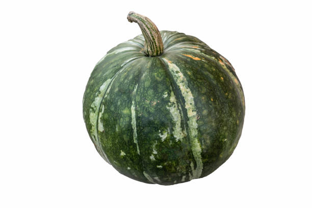 istock realistic pumpkin isolated on white background close up, halloween symbol 1496532473