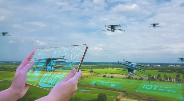istock Farmers use smart tablet Control agricultural drones,fly scan rice plantations,climate,analyze yields and pests,agricultural science, Artificial intelligence IOT smart agriculture farming technology 1496535006
