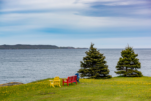 Seascape at Witless Bay, Newfoundland and Labrador, Canada.