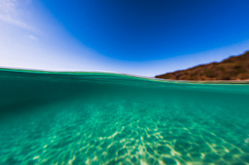 Above and below the water surface on a clear blue sky day in the ocean