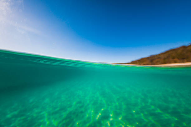 istock Above and below the water surface on a clear blue sky day in the ocean 1496535335