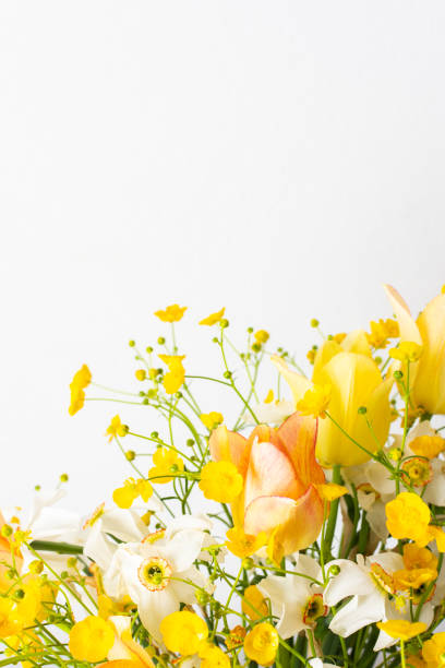 Spring bouquet of yellow buttercups, white daffodils and tulips, bouquet of flowers close up, home decoration with flowers