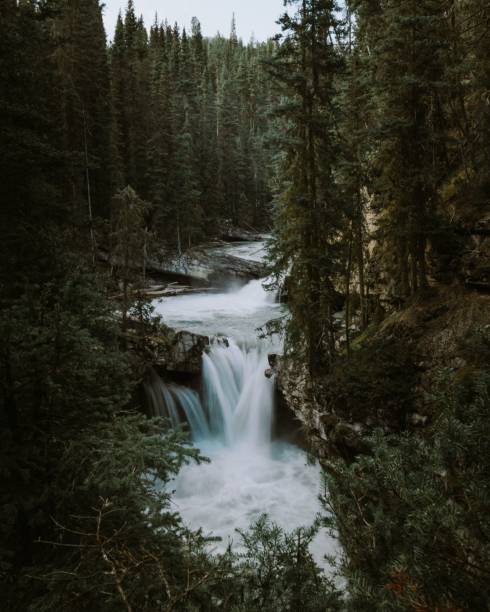 istock Waterfall cascading down a cliffside, surrounded by lush vegetation in Banff National Park, Canada 1496540665