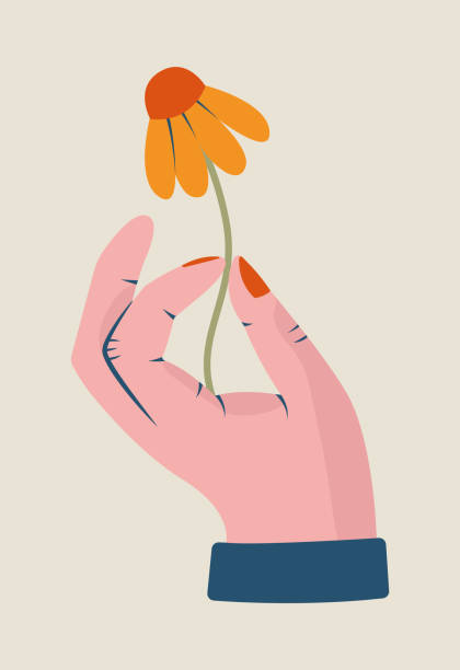 istock Woman's hand holding flower. Giving gesture. Creative modern simple clip art in flat style. For sticker, card, poster. Care, support, love concept. 1496546721
