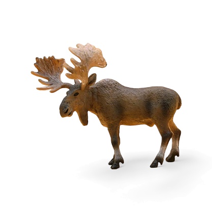 Miniature toy moose animal side view on white background