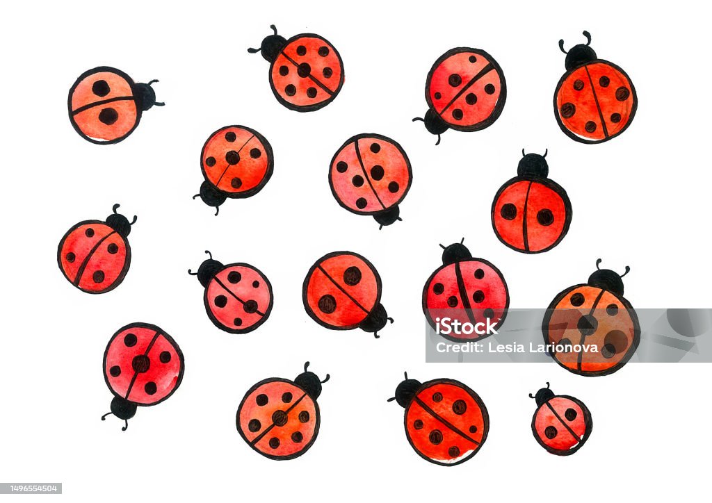 Ladybug Insect Pattern Pattern With Insects Ladybug Isolated On White Background Stock ...