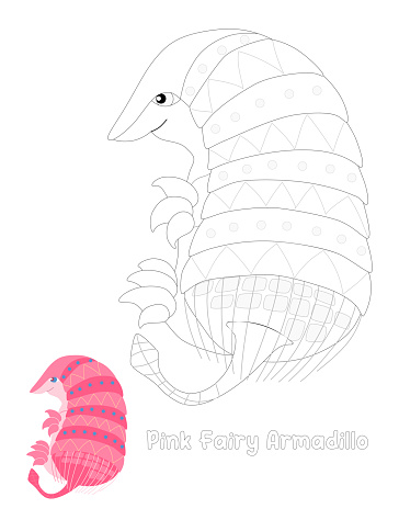 Pink Fairy Armadillo. Chlamyphorus truncatus. Unique Animals. Black and white linear drawing. For children's design of coloring books, prints, posters, stickers, cards, puzzles, cards and so on. Vector