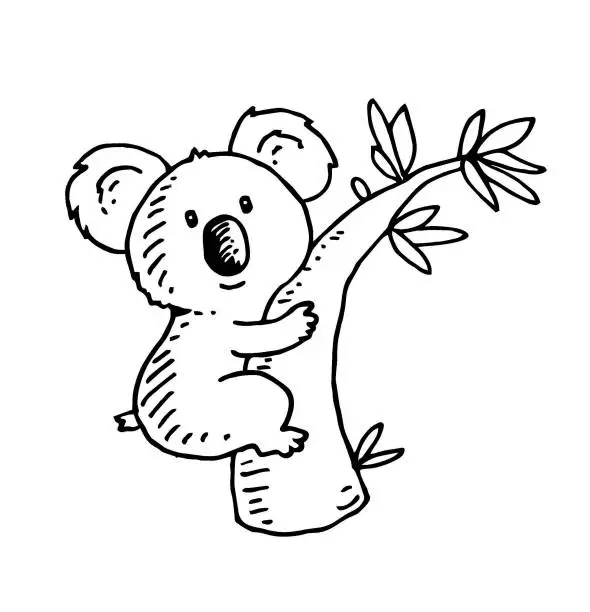 Vector illustration of Cartoon koala sketch illustration
