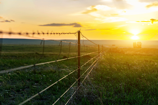 Metal fence on a grassland pasture in western China at sunset