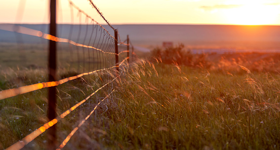 Fence in pasture and colorful sunset