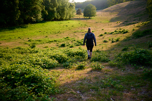 Mid adult woman trekking in Danish nature. Summertime rear view full length portrait.
