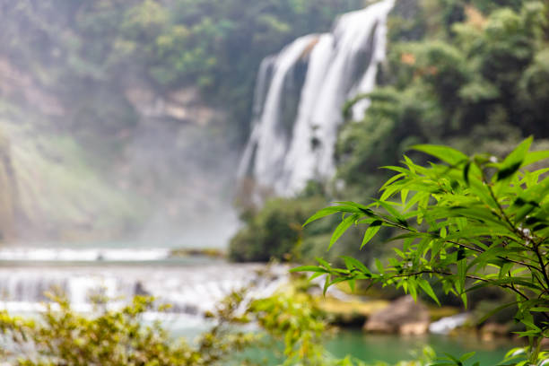 Waterfall with plenty of water, focus on trees in the foreground