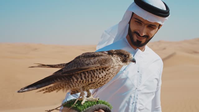 Falconer training his falcon bird in the desert of Dubai