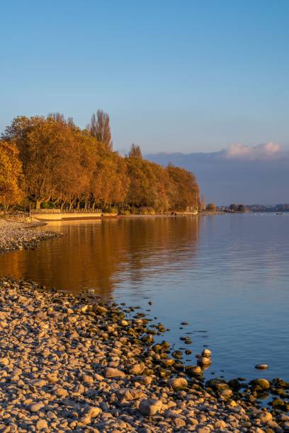 istock Scenic view of Lake Constance at sunset in Germany. 1496569132