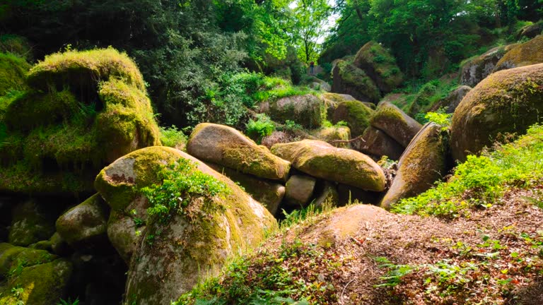 Blockfield in the forest of Huelgoat