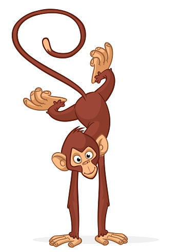 Cartoon funny monkey chimpanzee balancing on one hand or doind flip acrobatic handstand. Vector illustration of happy monkey character design