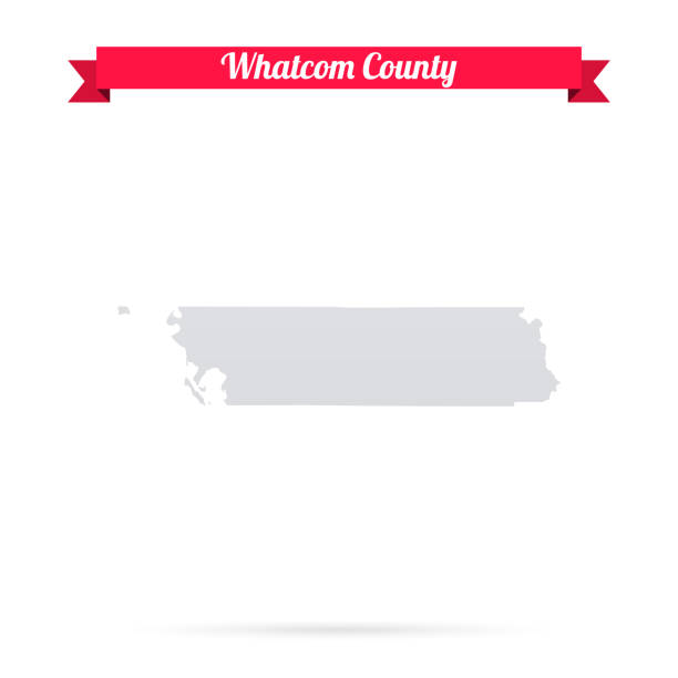 ilustraciones, imágenes clip art, dibujos animados e iconos de stock de condado de whatcom, washington. mapa sobre fondo blanco con banner rojo - bellingham